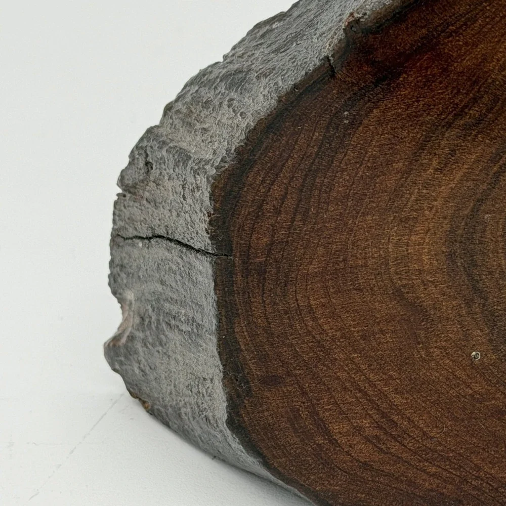 Rustic Wood Log Slice Desk Clock Quartz Mantel Shelf Cabin Lodge Decor Working